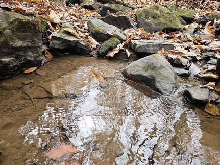 Property for sale in Mercer County, West Virginia