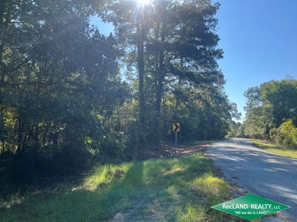 Hunting Land for sale in Lafayette County, Arkansas