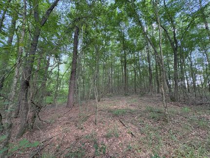 Residential Property for sale in Leake County, Mississippi