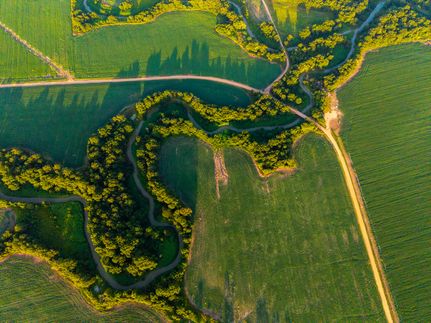 Property for sale in Tallahatchie County, Mississippi