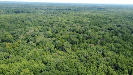 Property for sale in Simpson County, Mississippi