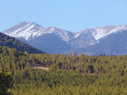 Undeveloped Land for sale in Navajo County, Arizona