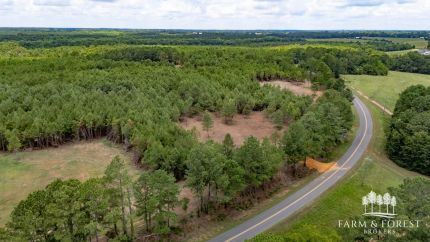 Undeveloped Land for sale in Geneva County, Alabama
