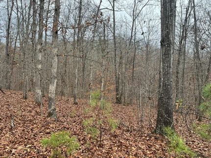 Property for sale in Madison County, Missouri