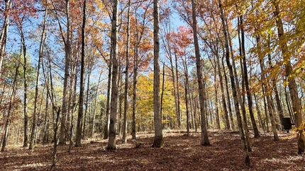 Property for sale in Oglethorpe County, Georgia