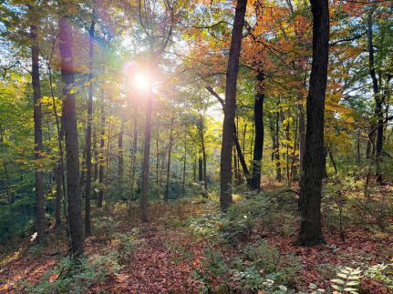 Recreational Property for sale in Peoria County, Illinois