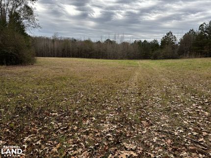 Property for sale in Lamar County, Alabama