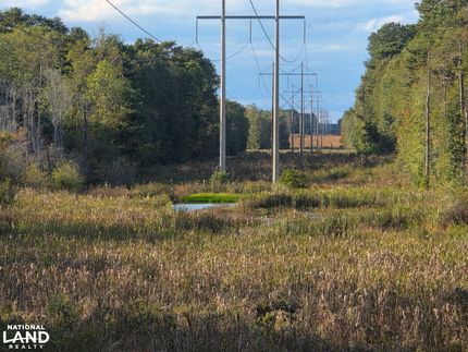 Property for sale in Geneva County, Alabama