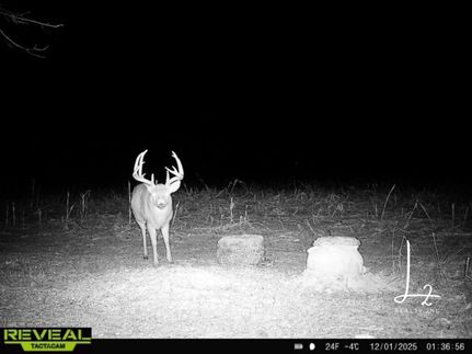 Undeveloped Land for sale in Osage County, Kansas