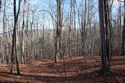 Property for sale in Warren County, New York