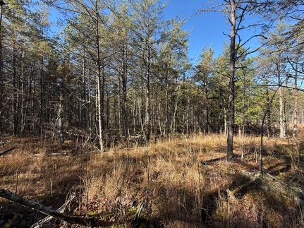 Timberland Property for sale in Owsley County, Kentucky