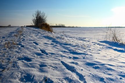 Recreational Property for sale in Codington County, South Dakota