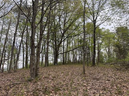 Property for sale in Putnam County, West Virginia