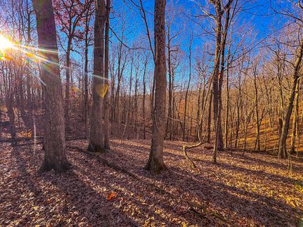 Property for sale in Pleasants County, West Virginia