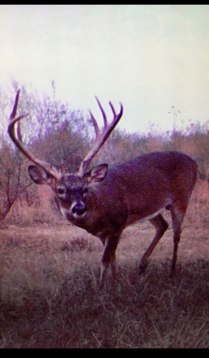 Property in West Carroll Parish, Louisiana