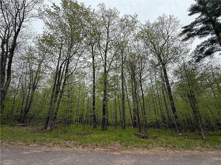 Undeveloped Land for sale in Bayfield County, Wisconsin