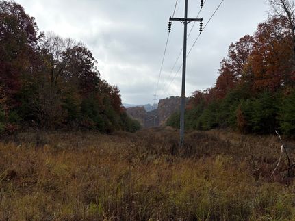 Property for sale in Muhlenberg County, Kentucky