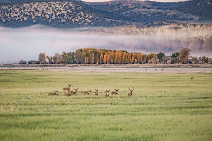 Property for sale in Moffat County, Colorado