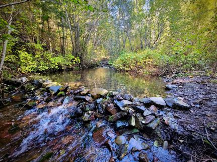Undeveloped Land for sale in Mineral County, Montana