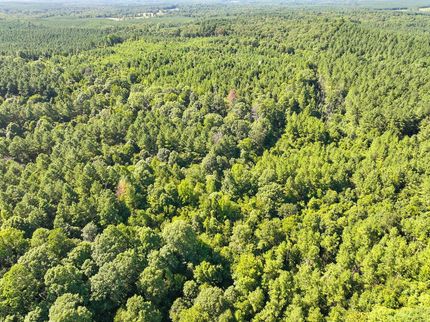 Property for sale in Sevier County, Arkansas