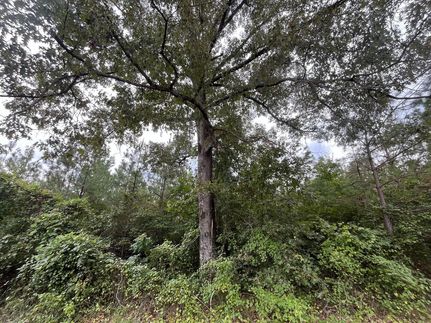 Property for sale in Fayette County, Alabama