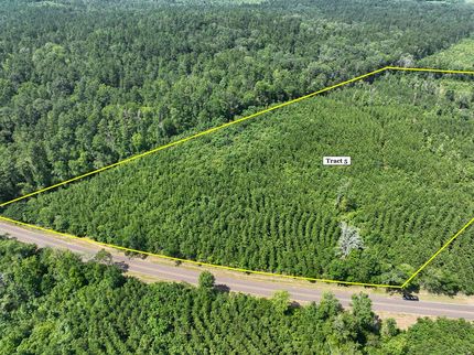 Hunting Land for sale in Sabine County, Texas