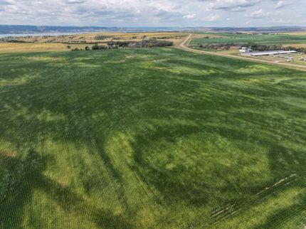 Hunting Land for sale in Charles Mix County, South Dakota