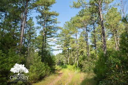 Property for sale in McCormick County, South Carolina