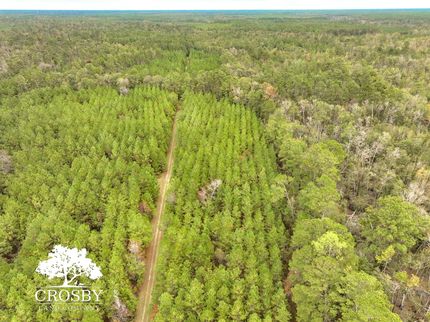 Property for sale in Ware County, Georgia