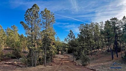 Undeveloped Land for sale in Custer County, South Dakota