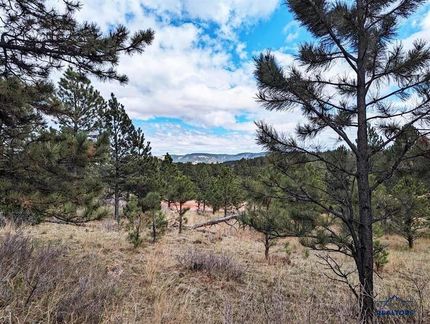 Property for sale in Custer County, South Dakota