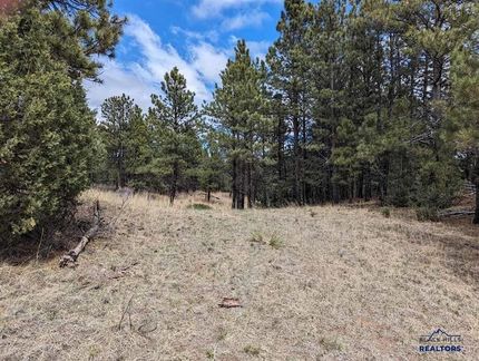Undeveloped Land for sale in Custer County, South Dakota
