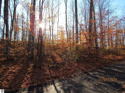 Undeveloped Land for sale in Grand Traverse County, Michigan
