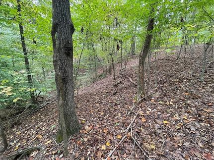 Residential Property for sale in Oconee County, South Carolina