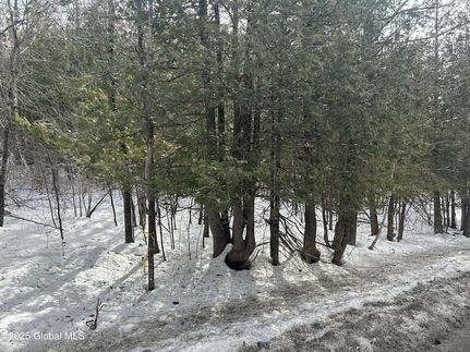 Undeveloped Land for sale in Essex County, New York