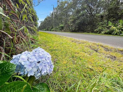 Undeveloped Land for sale in Hawaii County, Hawaii