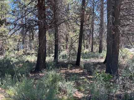 Undeveloped Land for sale in Klamath County, Oregon