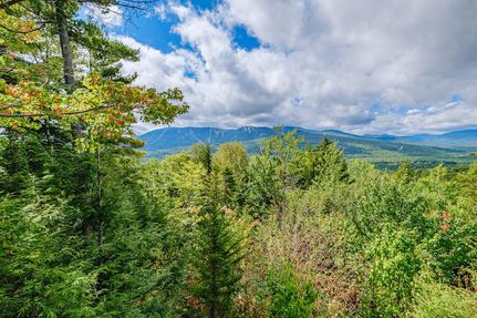 Undeveloped Land for sale in Oxford County, Maine