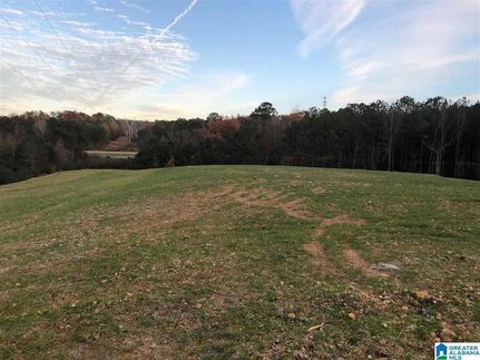 Undeveloped Land for sale in Shelby County, Alabama