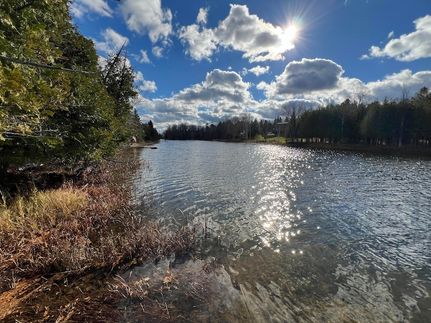 Lakefront Property for sale in Cheboygan County, Michigan