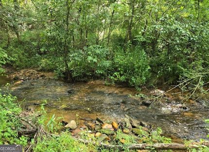 Undeveloped Land for sale in Towns County, Georgia