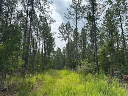 Property for sale in Fairfield County, South Carolina