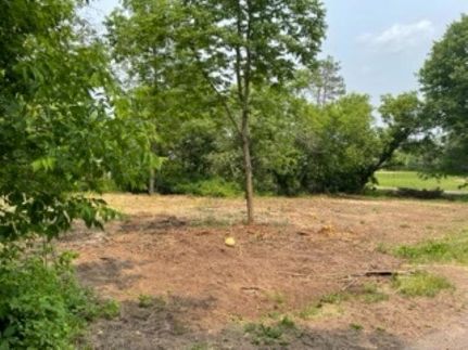 Undeveloped Land for sale in Oconto County, Wisconsin