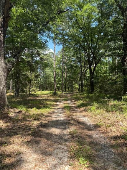 Undeveloped Land for sale in Covington County, Alabama