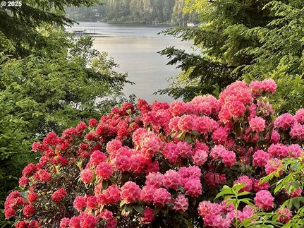 Lakefront Property for sale in Coos County, Oregon