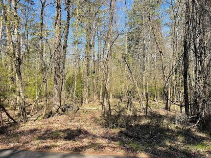 Undeveloped Land for sale in Garland County, Arkansas
