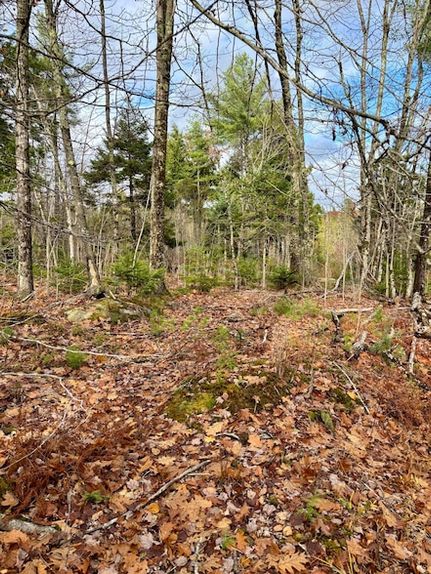 Undeveloped Land for sale in Hancock County, Maine