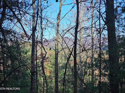 Undeveloped Land for sale in Blount County, Tennessee