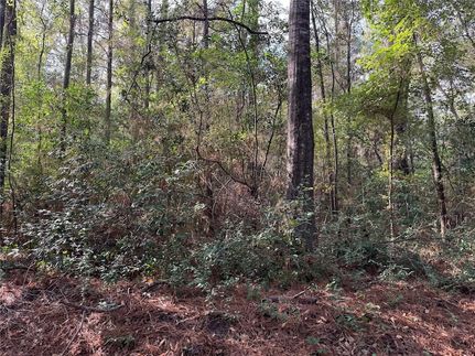 Undeveloped Land for sale in DeSoto Parish, Louisiana
