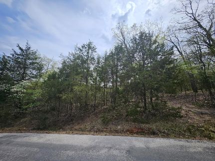 Undeveloped Land for sale in Taney County, Missouri